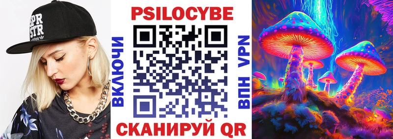 Купить закладки  Чаплыгин  Галлюциногенные грибы Cubensis 
